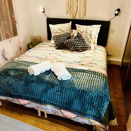 Appartement Elegant A Conflant 康弗兰斯·圣荷诺 外观 照片