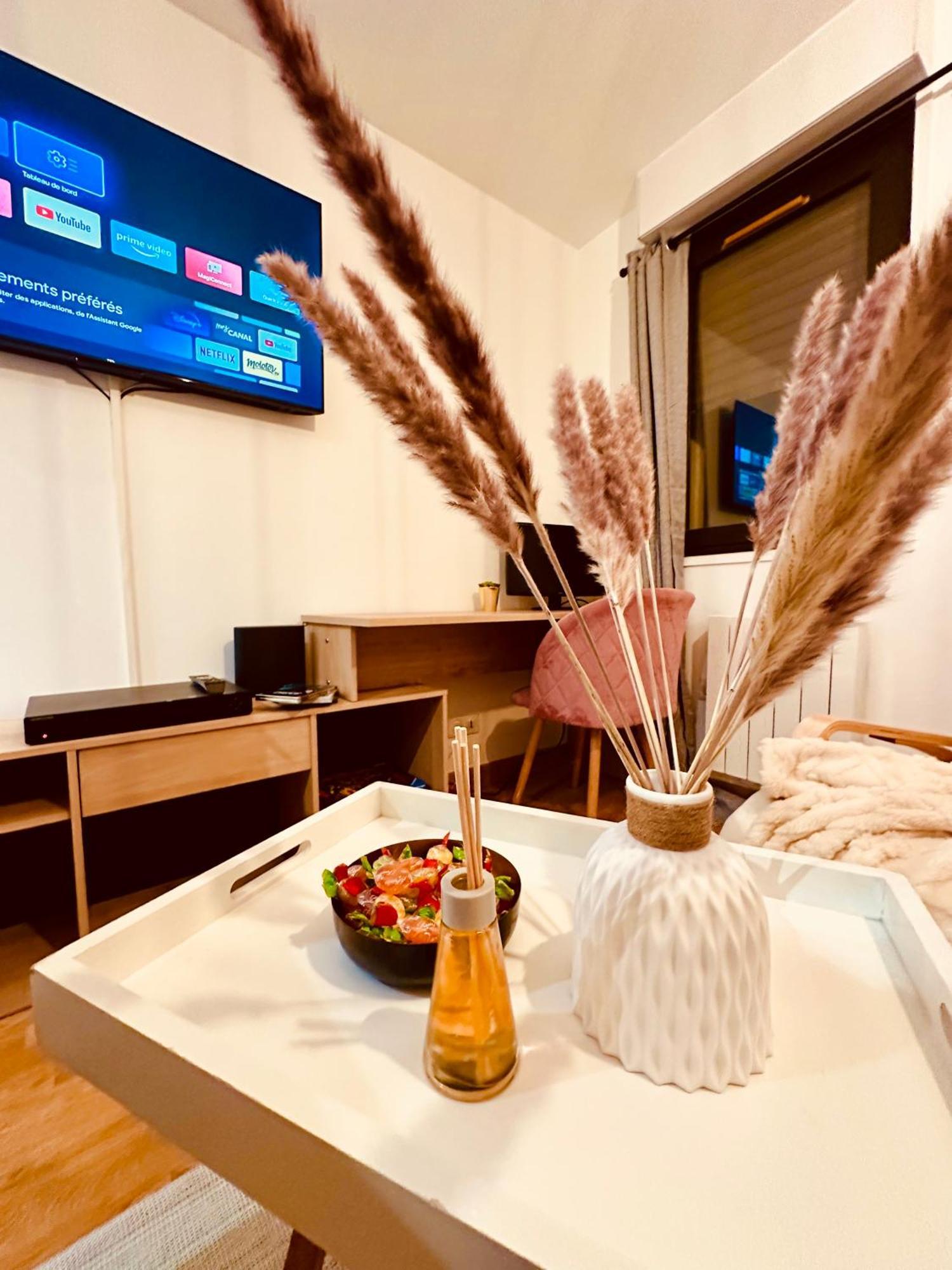 Appartement Elegant A Conflant 康弗兰斯·圣荷诺 外观 照片
