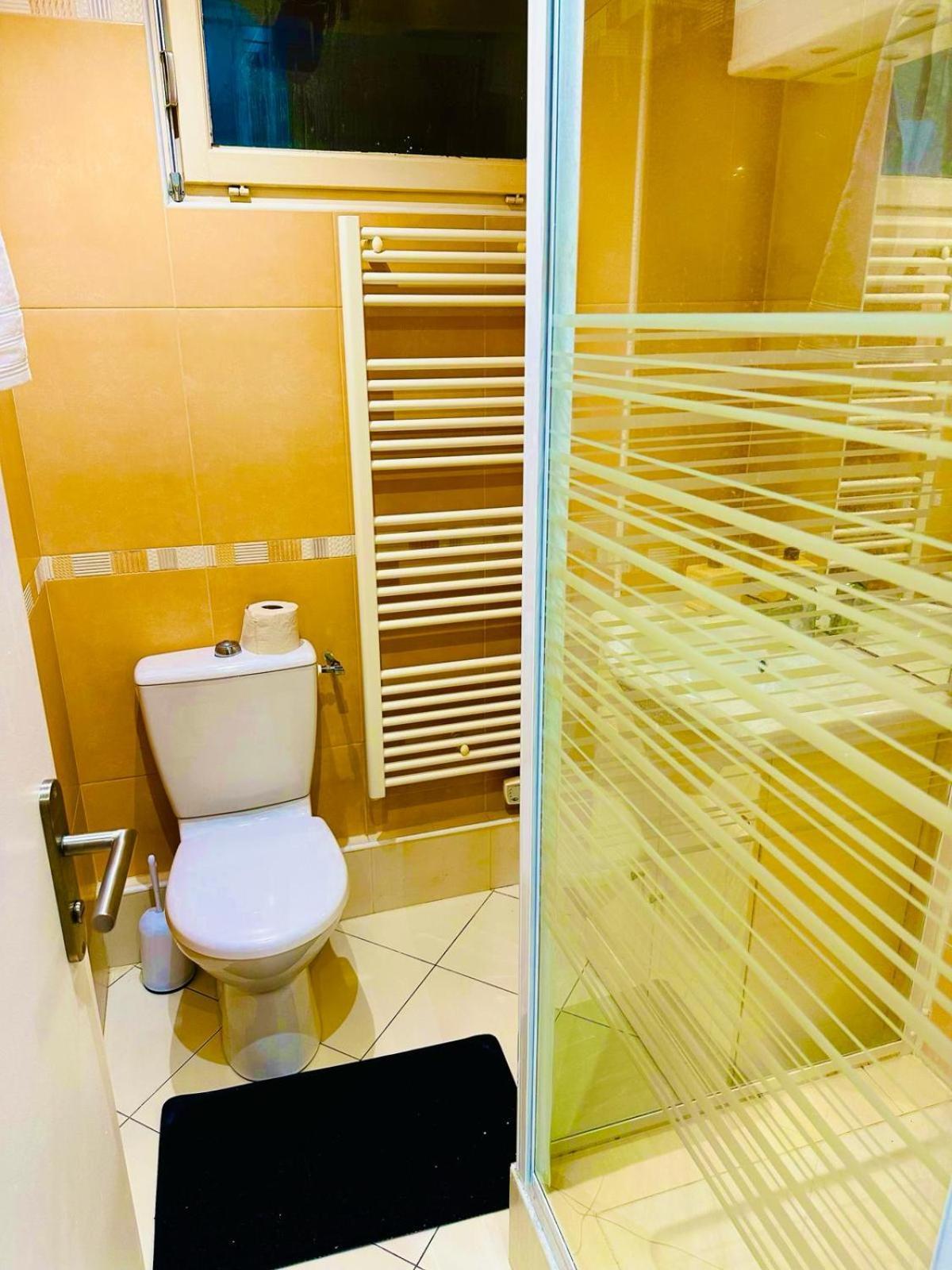 Appartement Elegant A Conflant 康弗兰斯·圣荷诺 外观 照片